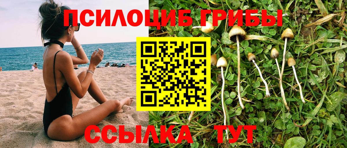 Галлюциногенные грибы мицелий Когалым